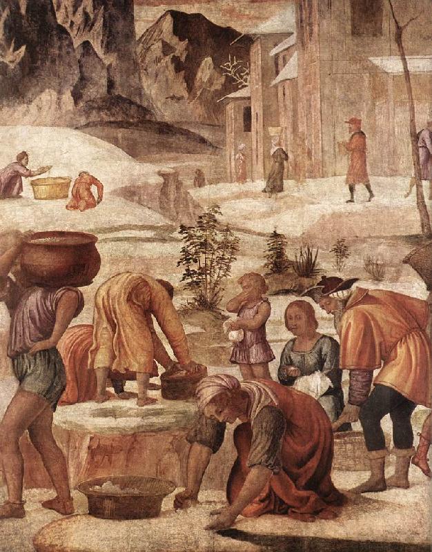 LUINI, Bernardino The Gathering of the Manna s Spain oil painting art